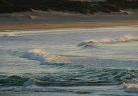 Gansbaai-Beaches (15)